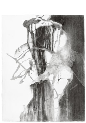 Houtskool_tekening_04_LisanneSloots