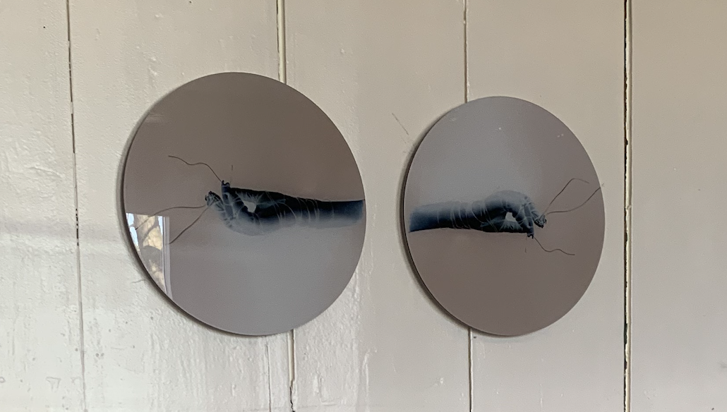 ‘Horizon’: ledententoonstelling in De Boterhal