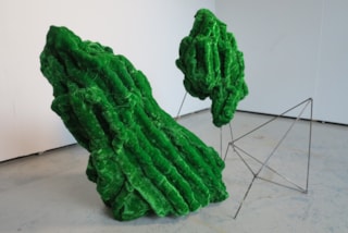 2 Swamp 2 Wandering through the Nature of Art Femmie Duiven en Ursula Metzler