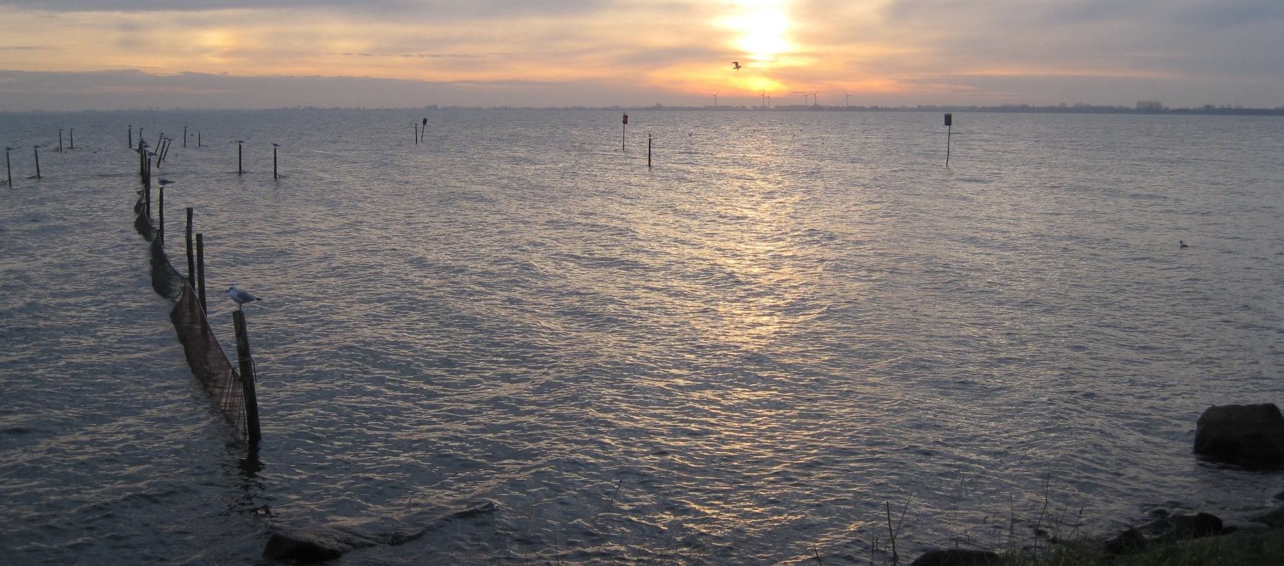 Stichting In Den Beginne